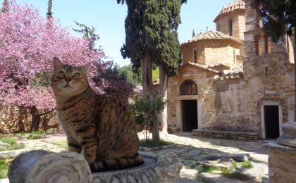 Μονή Καισαριανής