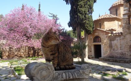 «Στην αγκαλιά του Υμηττού» - ΜΟΝΗ ΚΑΙΣΑΡΙΑΝΗΣ