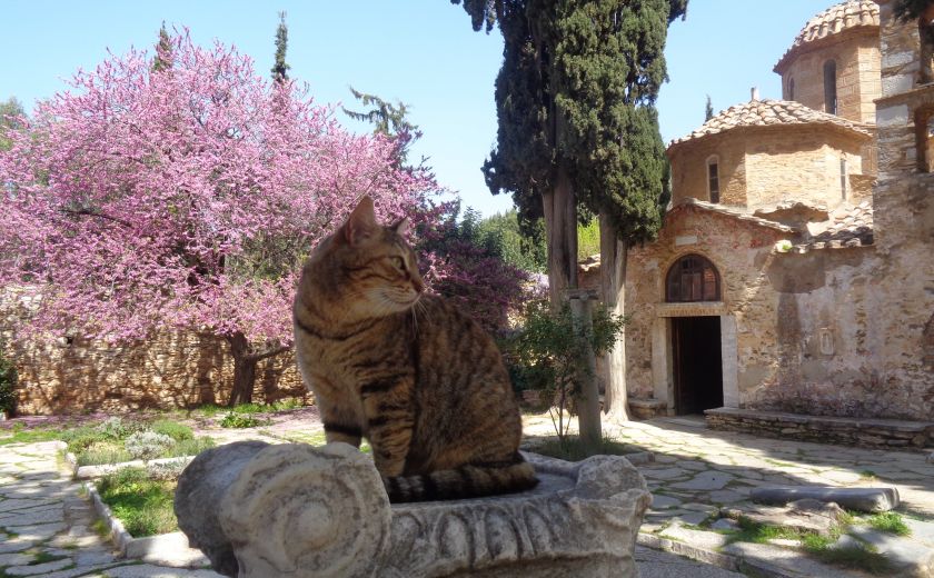 «Στην αγκαλιά του Υμηττού» - ΜΟΝΗ ΚΑΙΣΑΡΙΑΝΗΣ